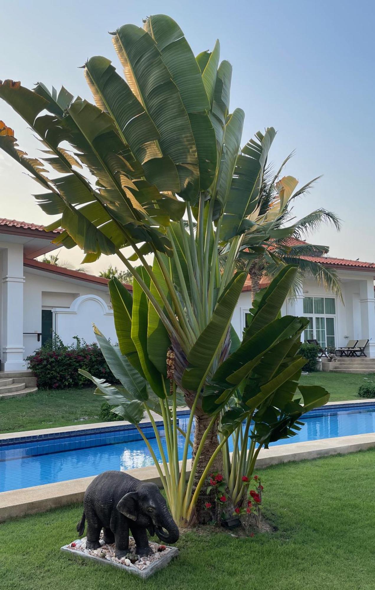 הואה הין Villa Bougainvillea מראה חיצוני תמונה